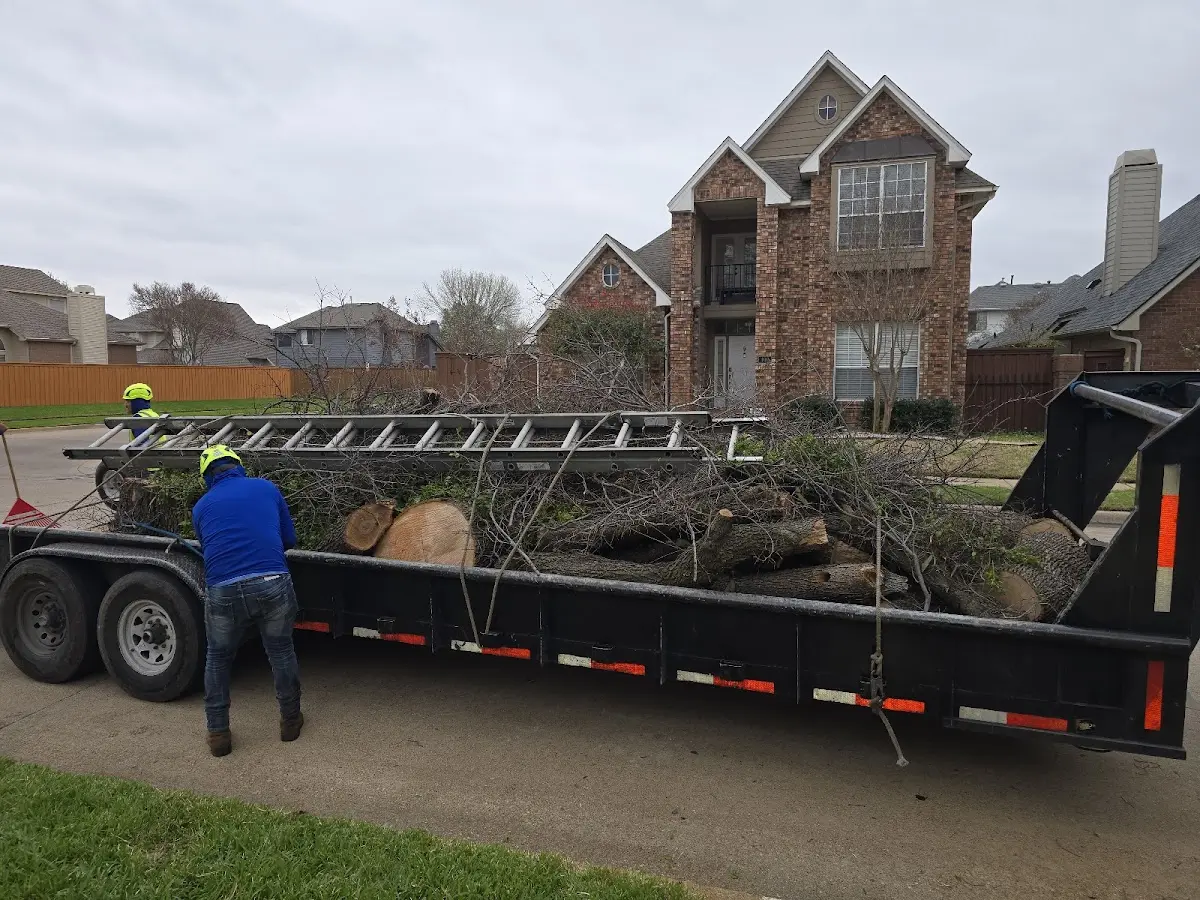 Expert Tree Fertilization with proper safety equipment in Huntington